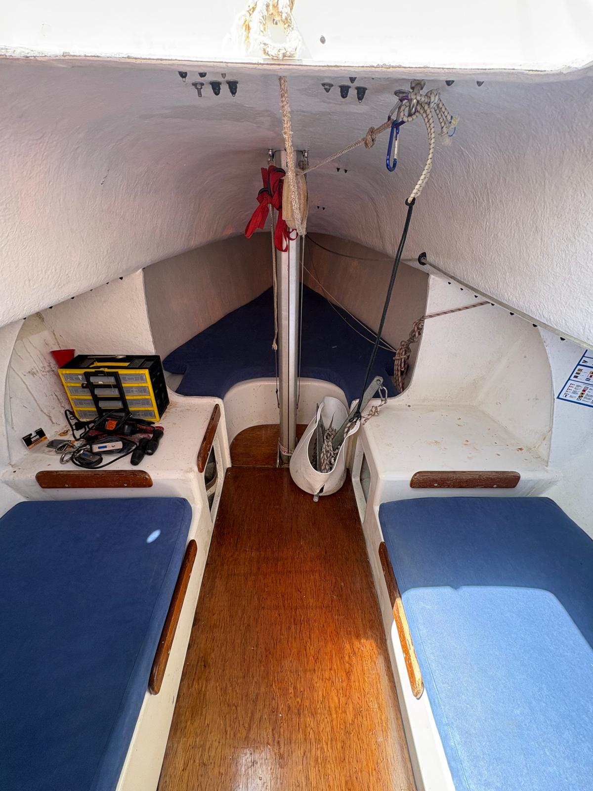 Astraea Brenta 24 — 6